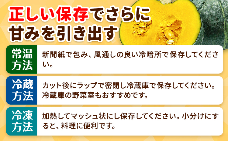 北海道名寄産 かぼちゃ 10kg 5玉～6【2玉北海道 名寄市 野菜 かぼちゃ 南瓜 黄金かぼちゃ先行予約026年10月上旬-10月下旬頃出荷】---nayoro_jdn_5_k10kg---
