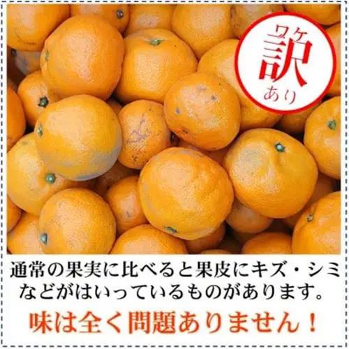 2027年1月～発送 訳あり・ご家庭用　どの坂果樹園の熟成早生みかん　約5kg(大玉中心)【1556451】