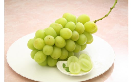 07-01-067　冬に味わう『シャインマスカット』約1.4kg