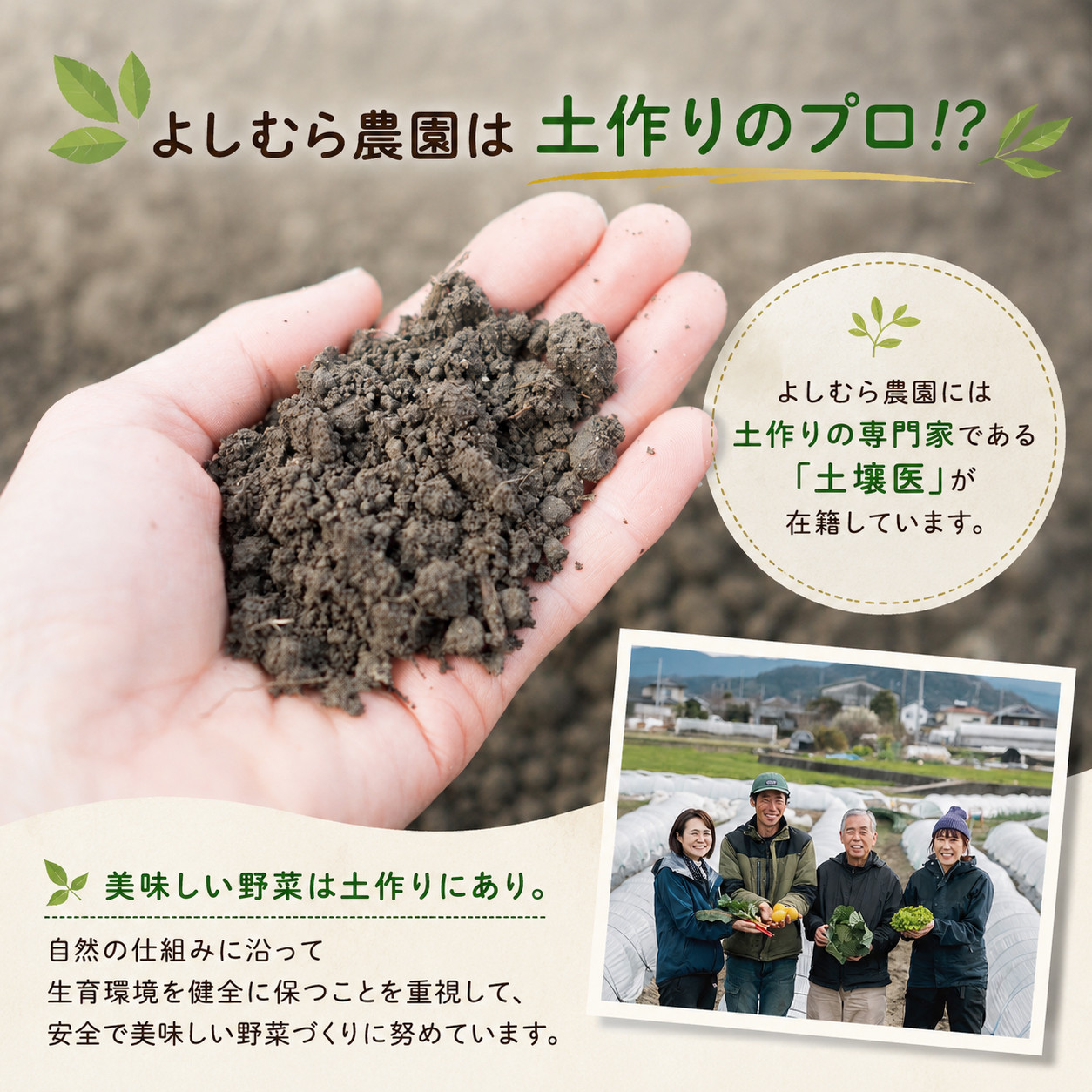 野菜 定期便 12回 詰め合わせ 10種 よしむら農園 オーガニック 有機 有機野菜 やさい ベジタブル おまかせ セット 一人暮らし おすすめ レタス とうもろこし トマト 有機栽培 JAS 栄養 贅沢 国産 大容量 人気 新鮮 今が旬 香川県 丸亀市