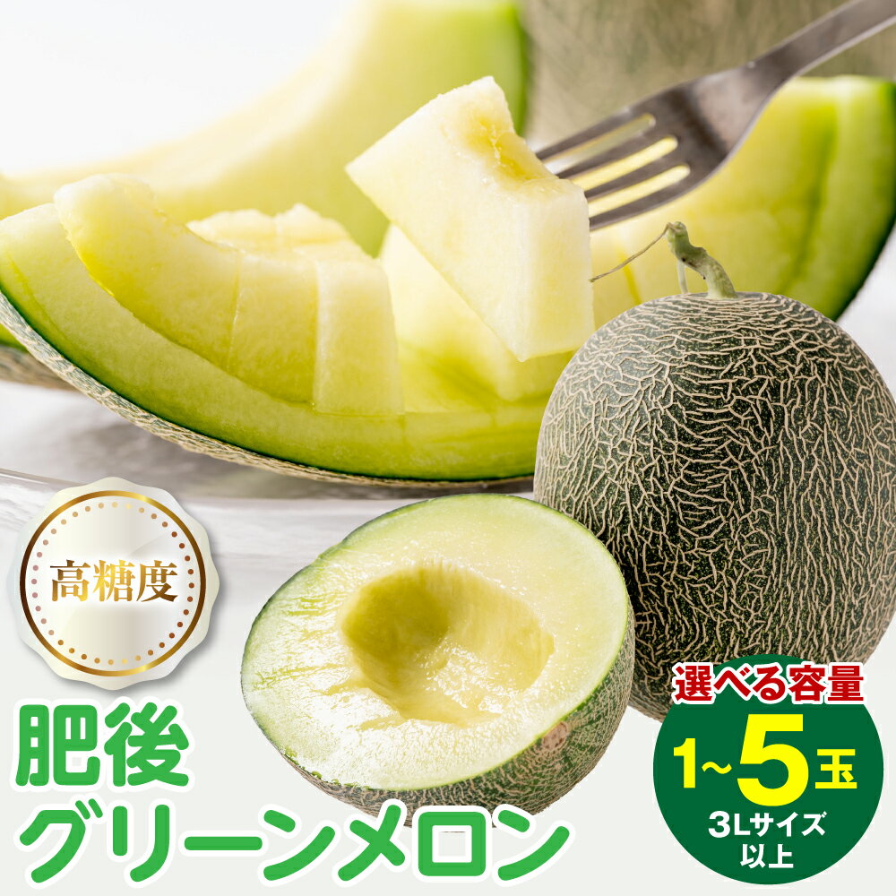 【ふるさと納税】【先行予約】 【選べる内容量】 高糖度 八代産 肥後グリーンメロン 3Lサイズ以上 1～5玉 糖度16度以上 メロン 果物 フルーツ 旬の果物 あふれる果汁 デザート おやつ 九州 熊本県産 送料無料【2025年5月下旬より順次発送】