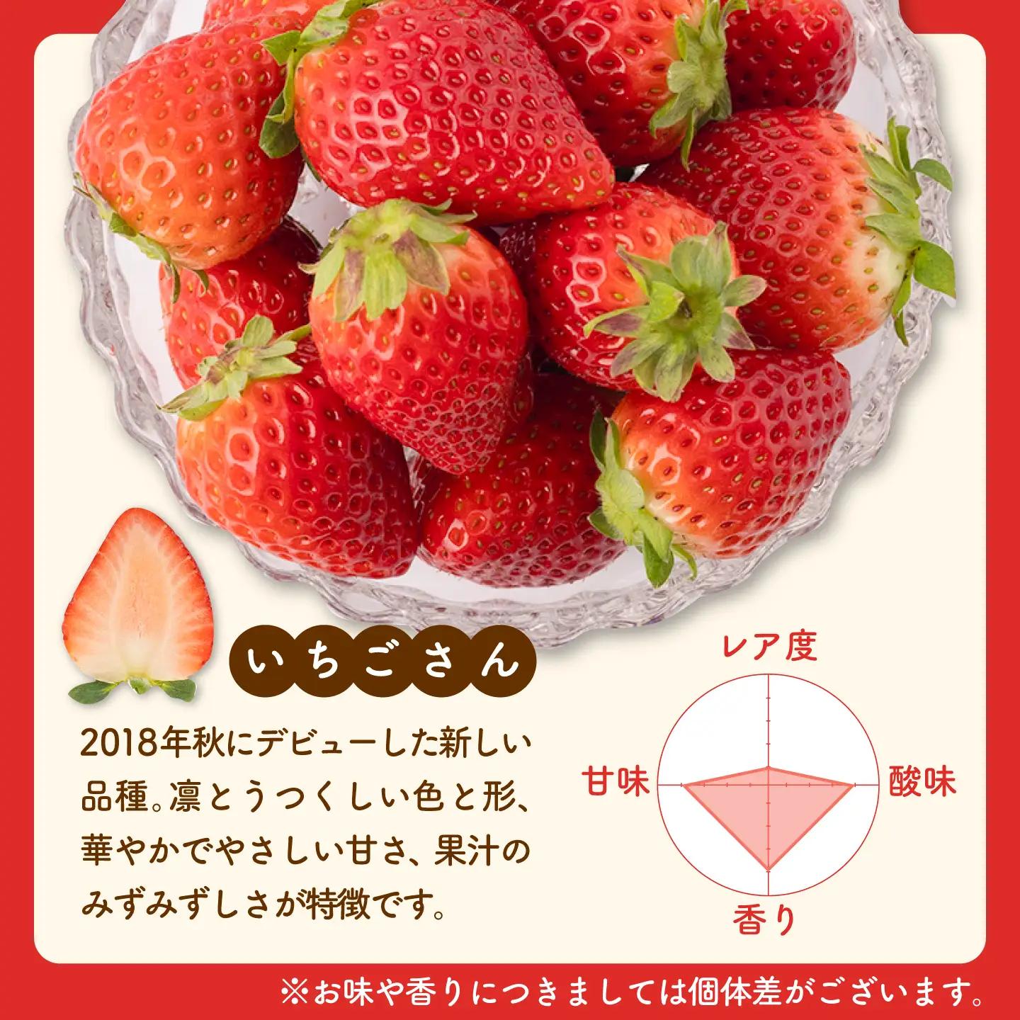 スピード発送 冷凍いちご（いちごさん）1kg 【8/12ICHIGOFARM】[IBR004]