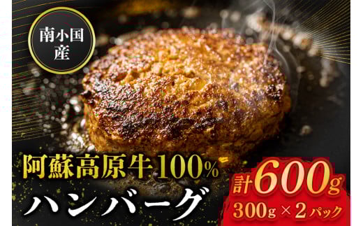 南小国産 阿蘇高原牛 牛100% ハンバーグ 600g 贅沢 牛 牛肉 国産牛 ハンバーグ ハンバーグステーキ 150g 4個 小分け 熊本県産 国産 贈答用 ギフト 味匠ハマダ 熊本 阿蘇 南小国町 送料無料