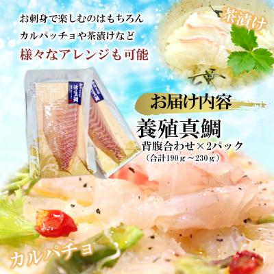ふるさと納税 三浦市 【高鮮度】鮮魚活〆真鯛お刺身セット |  | 01
