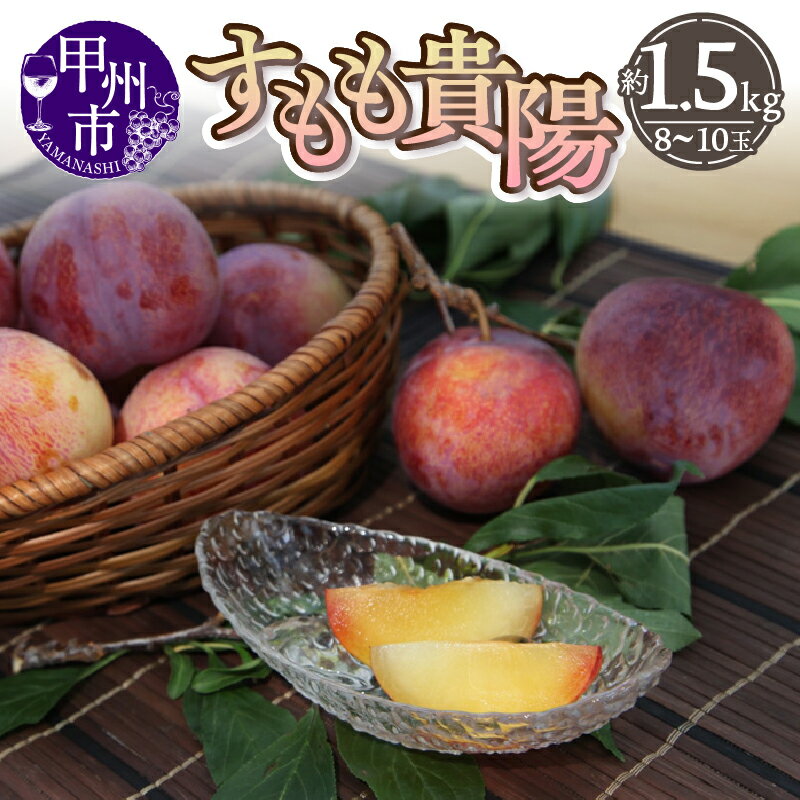【ふるさと納税】 すもも 貴陽 2026年 先行予約 7月 8月 発送 約1.5kg 8～10玉 果物 甲州市産 山梨 厳選 産地直送 プラム スモモ フルーツ 期間限定 数量限定 冷蔵 クール ギフト 贈答 家庭用 （THR） 【B13-810】