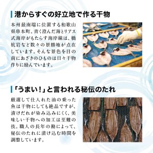 ひもの 干物 詰め合わせセット＜旬の魚をお届け！＞ 【冷蔵】【ozk100】