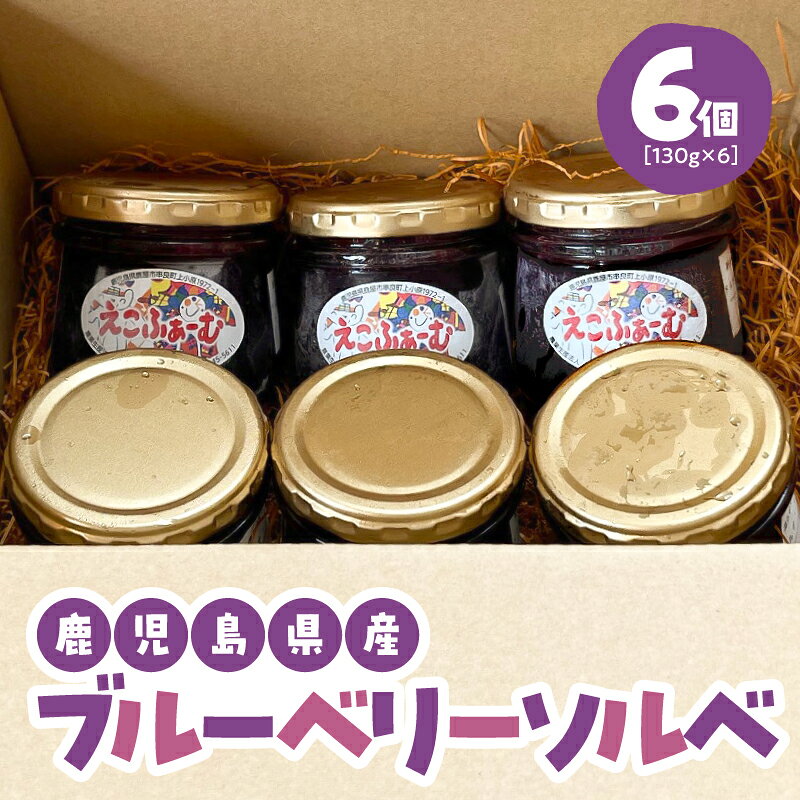【ふるさと納税】ブルーベリーソルベ 6個入り ブルーベリー デザート 果物 フルーツ 甘さ控えめ アレンジ ヨーグルトフロート トースト グラノーラ カクテル えこふぁーむ 鹿児島 鹿屋市 おすすめ ランキング プレゼント ギフト