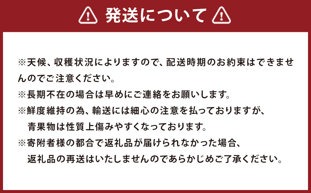  【期間限定】博多 あまおう いちご エクセレント 約450g×2パック