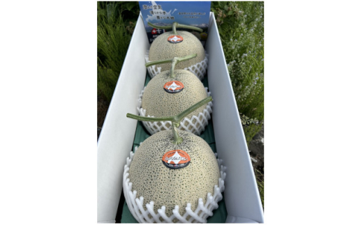 ＜2026年発送＞特選　富良野メロン (赤肉)　3玉(大玉・各約2kg)【1626440】