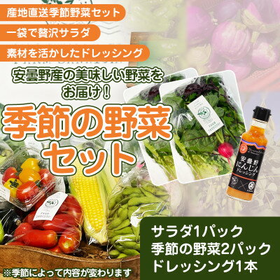 【ふるさと納税】 野菜おまかせボックス　【数量限定】 【 サラダ サラダ野菜 旬 新鮮 新鮮野菜 フレッシュ 地場産 自然の恵み とれたて 簡単 長野 長野県 安曇野 安曇野市 信州】