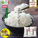 【ふるさと納税】 令和6年度産 佐賀県認定 特別栽培米 もっちり艶々「農薬：栽培期間中不使用」さがびより 10kg（5kg x 2袋）しもむら農園 新米 一等米 精米 白米 ブランド米 お米 白飯 人気 ランキング 高評価 お米 【C250-001】