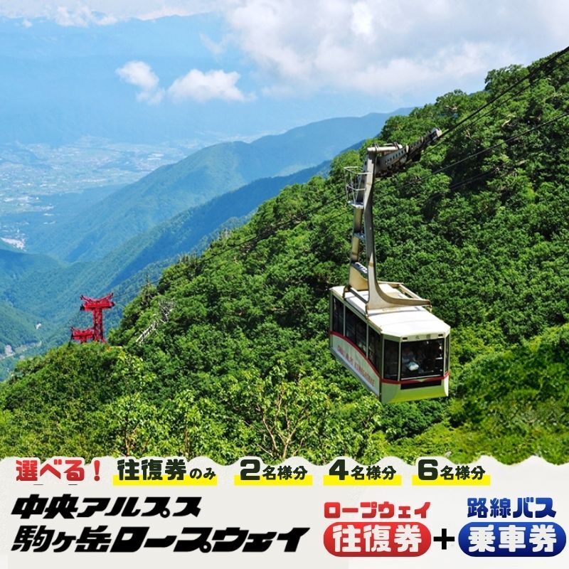 【ふるさと納税】駒ヶ岳ロープウェイ券 選べる人数 チケット 入場券 優待券 路線バス乗車券