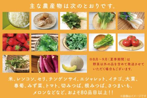 【野菜王国】なめがたの旬 野菜便(米 5kg入り)｜茨城県 行方市(CU-135)