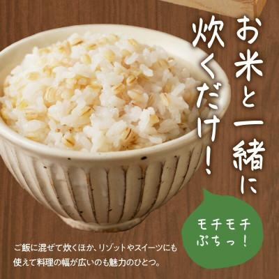 ふるさと納税 浜田市 もち麦セット 有機 500g×3袋セット(1.5kg)　有機JAS認証 国産 島根県産 |  | 01