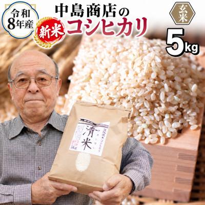 ふるさと納税 つくばみらい市 【玄米】新米令和8年産 茨城県産 お米 こしひかり 5kg(5kg×1袋)