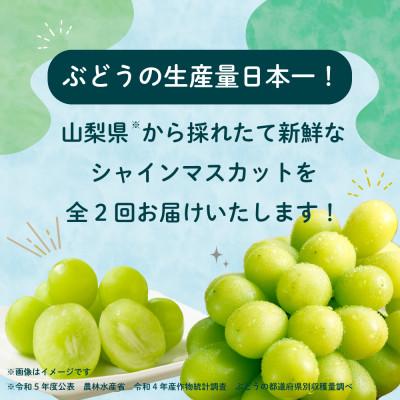 ふるさと納税 甲州市 【発送月固定定期便】大人気フルーツ シャインマスカット 産地直送 瑞々しい美味しさのまま発送!全2回 |  | 01