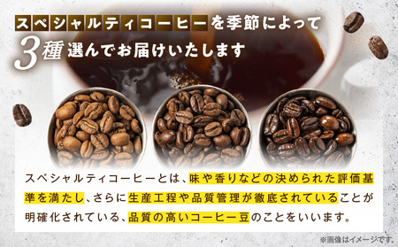 コーヒー 粉 コーヒー[レイドバック珈琲の自家焙煎スペシャルティコーヒーシングルオリジン150g×3種セット(中挽きの粉)]