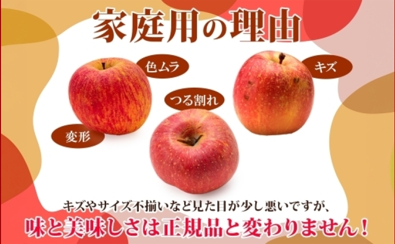 りんご 【9月・10月発送】家庭用 早生ふじ 約3kg　リンゴ 林檎 青森りんご 糖度 13度 甘い 酸味 デザート フルーツ 果物 お取り寄せ 産地直送 旬 季節限定 弘果物流 青森県 西目屋村 西