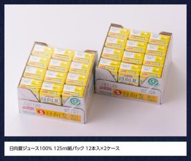 サンA 日向夏ジュース ( 果汁100% ) 125ml×24本セット【ジュース 果汁100％ フルーツジュース 紙パック 日向夏 宮崎県】[C03059]