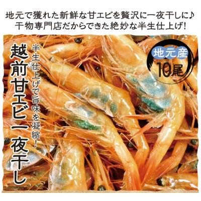 ふるさと納税 越前町 越前　甘えび一夜干し　H24年大日本水産会会長賞受賞 |  | 03