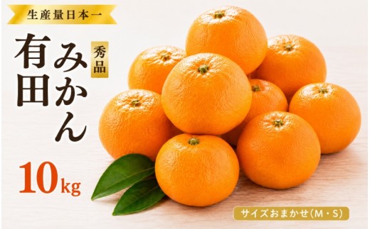 
                  特選 紀州 有田 みかん 10kg サイズおまかせ(М・Ｓ)  ※2026年12月上旬～下旬頃発送予定（お届け日指定不可）/ 温州みかん 有田みかん 甘い 高級 和歌山 柑橘【sml004-p-10】
                
