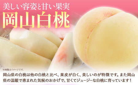 白桃とピオーネの詰合せ 約1kg 桃 ピオーネ