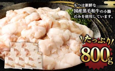 国産もつ鍋 8人前 冷凍ちゃんぽん・濃縮スープ付（醤油味） もつ ホルモン 鍋 お鍋 セット 冷凍 岡垣町