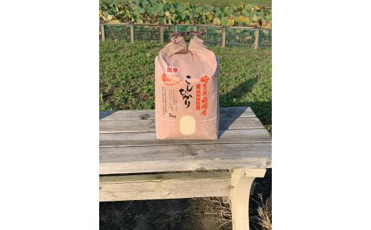 ＜令和7年産＞特別栽培米　コシヒカリ　5kg　【11246-0108】