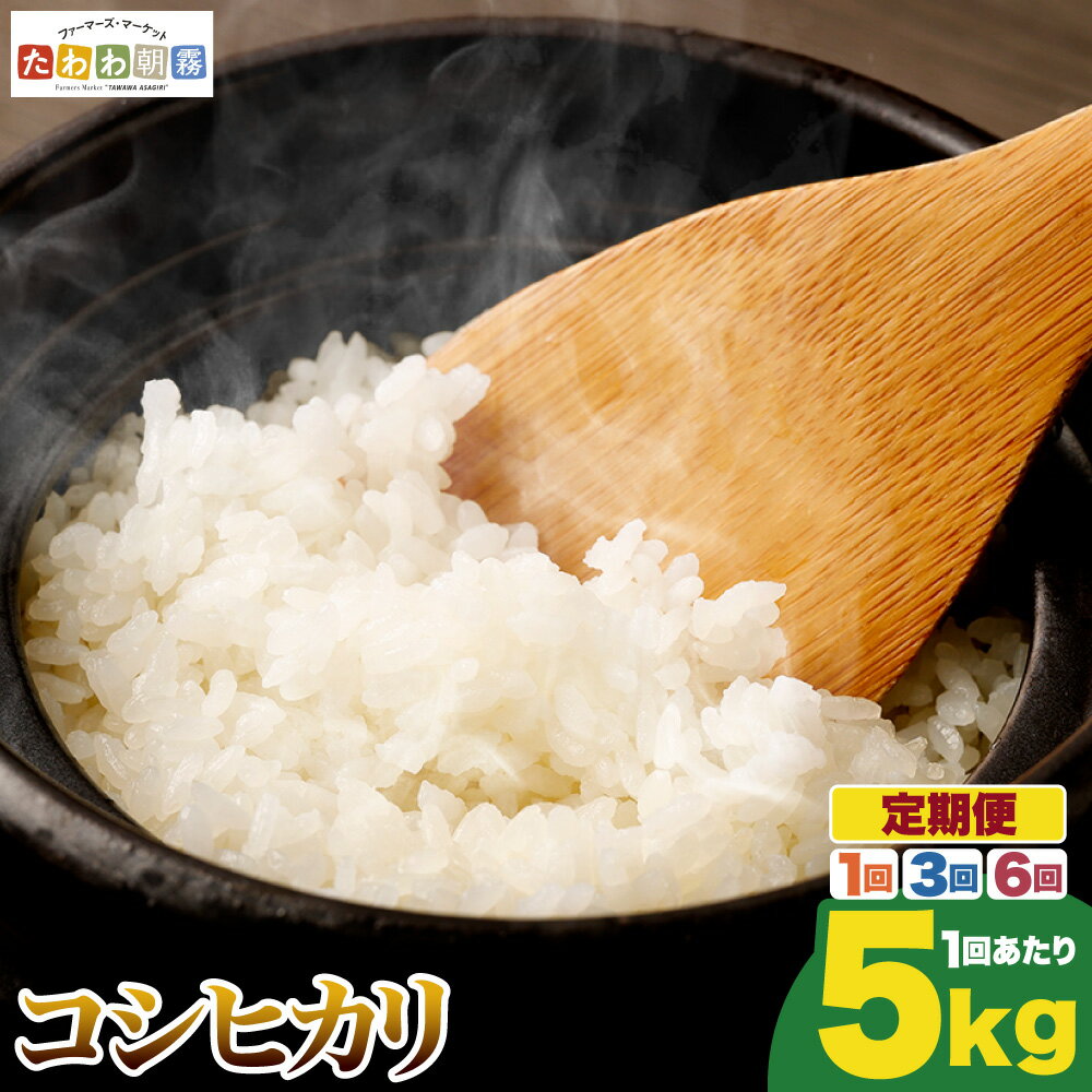 【ふるさと納税】【期間限定 生活応援】米 定期便 5kg コシヒカリ 1回 3回 6回 定期便 京都丹波産 JA京都たわわ朝霧 産地直送 令和7年産 ふるさと納税 米 定期便 京都丹波米 白米 精米 農協 送料無料 簡易包装 人気 お米 こしひかり 米 5キロ 6ヵ月