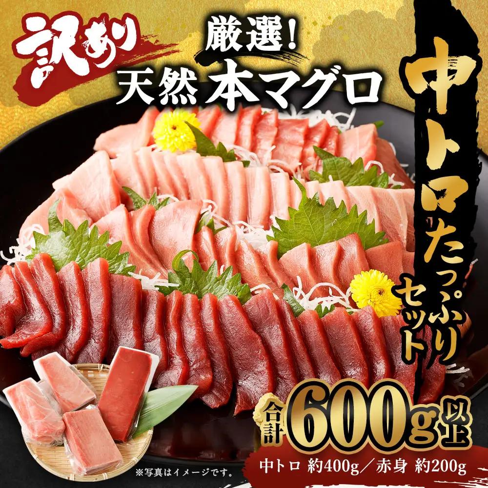天然マグロ 2種 約600g 【まぐろ】ge005 FN-Limited-PR