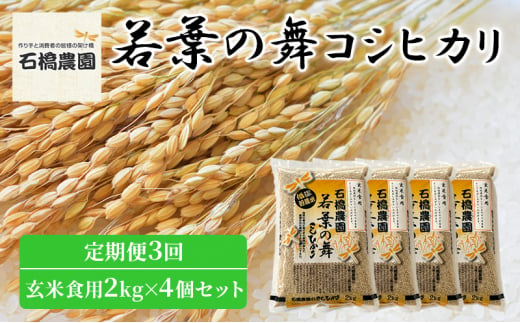 米 若葉の舞 コシヒカリ 玄米食用2Kg×4個セット 定期便3回 こしひかり セット 定期便 お米 玄米 千葉 千葉県 低温保存 [№5346-0852]