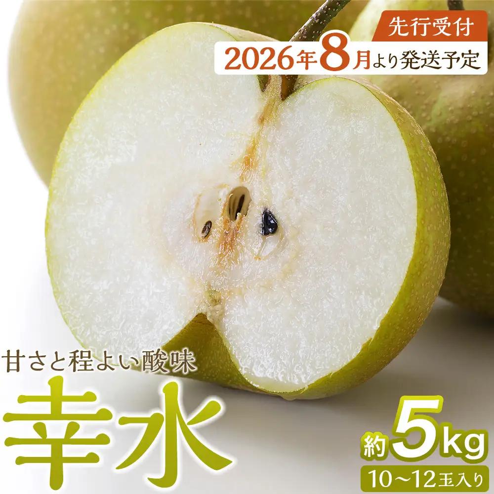 【2026年発送】【松崎果樹園】梨「幸水」約5kg（10～12玉入） ｜ 梨