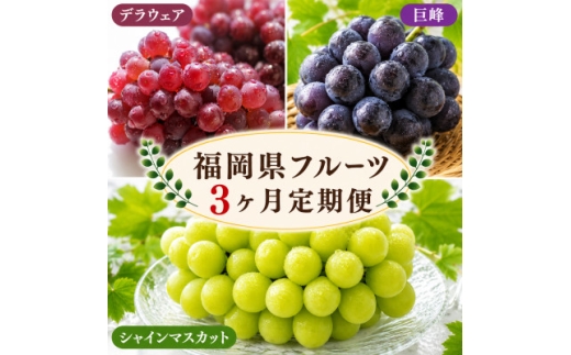 ＜発送月固定定期便＞福岡県　フルーツ3ヶ月定期便(5月～7月)全3回【4090506】