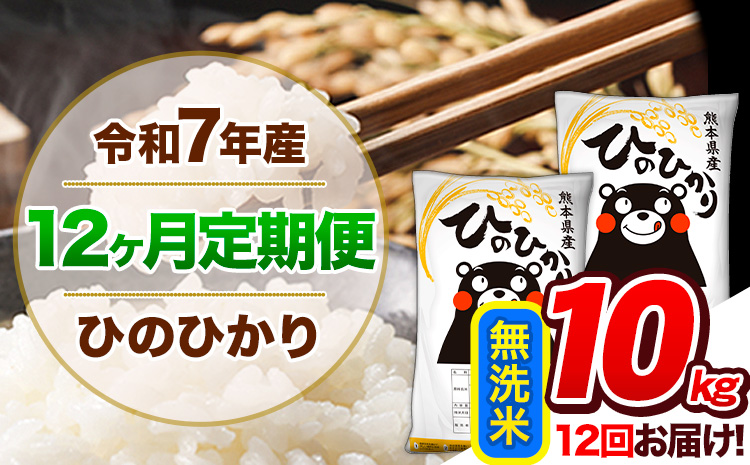 【12ヶ月定期便】令和7年産 定期便 無洗米 ひのひかり 10kg 《お申込み翌月から出荷》令和7年産 熊本県産｜人気米 熊本県産米 お米 生活応援米---hn7tei_222000_10kg_mo12_gkt_m---