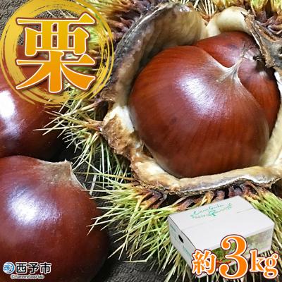 ふるさと納税 西予市 愛媛県西予市産　栗　3kg