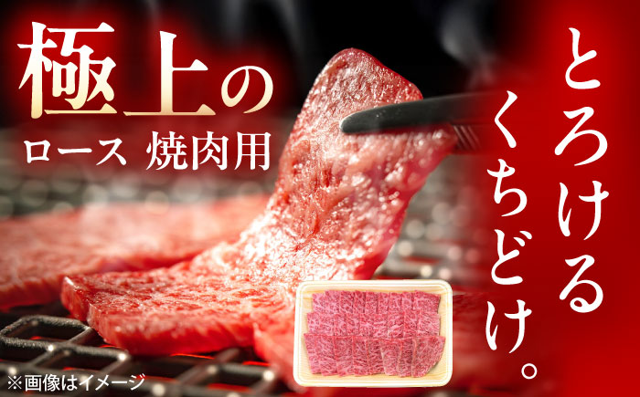 佐賀牛 ロース 焼肉用 500g /MKミート武雄 [UEM054]