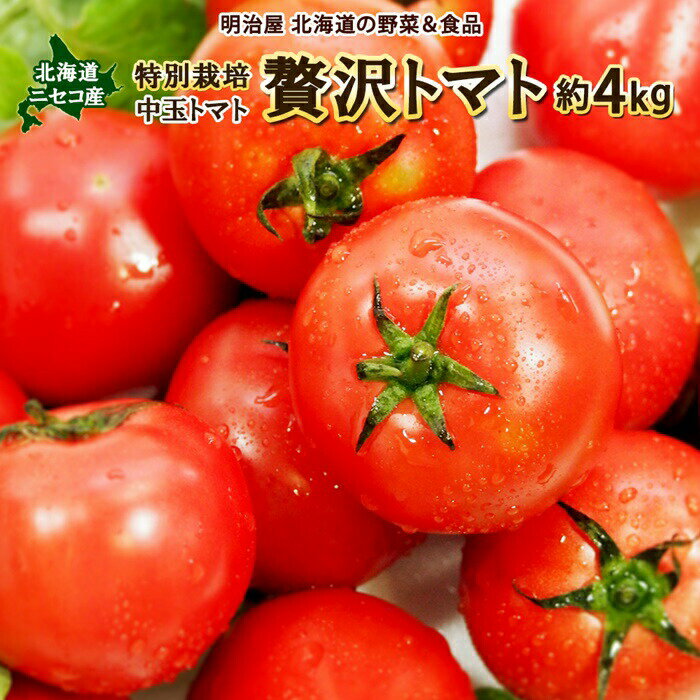【ふるさと納税】＜早期予約・数量限定＞北海道ニセコ町 贅沢トマト4kg【2026年産】【32005】