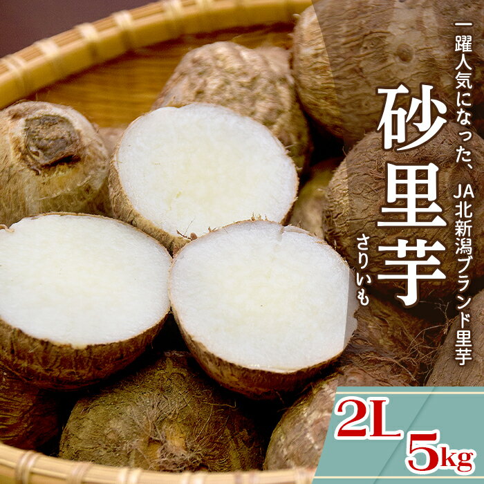 【ふるさと納税】砂里芋 さりいも 2Lサイズ 5kg 里芋 さといも JA北新潟 北新潟農業協同組合 聖籠産 砂里芋（さりいも）2L 5kg【JA北新潟ブランド里芋】2025年10月下旬～順次発送