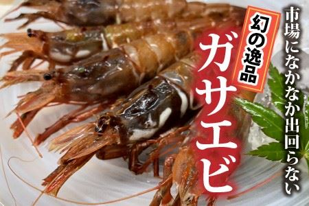【福井名物】ガサエビ（ガスエビ）刺身用 とやまに特製しょうゆセット [A-4374]
