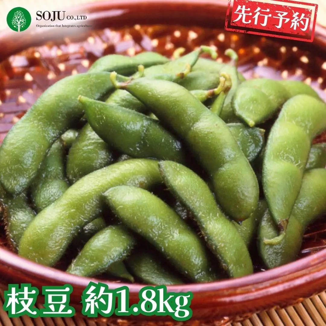 先行予約 枝豆 約1.8kg 令和8年度 新潟県 枝豆 [三条果樹専門家集団]