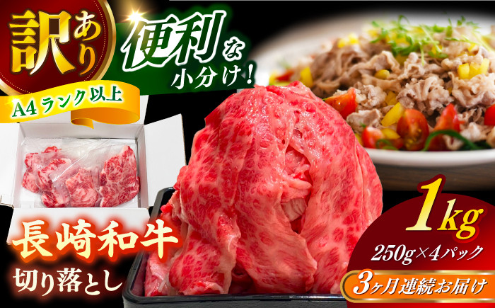 
            【全3回定期便】【訳あり】 長崎和牛（バラ、モモ、肩ロースのいずれか）1kg 切り落とし 250g×4P 小分け 【株式会社時愉亭】 [RCE011]
          