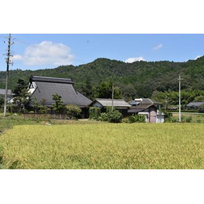 ふるさと納税 綾部市 【毎月定期便】〜栽培期間中 稲穂に農薬不使用〜京都のお米　コシヒカリ5kg【精米】全6回 |  | 01