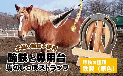 【ふるさと納税】 おすすめ 雑貨 馬 ウマ うま グッズ 本物 蹄鉄 しっぽ アクセサリー 手作り 幸運 厄除け お守り 選べる 天然石 馬っこパークオリジナルセット ＜ 鉄製 原色 ＞ 蹄鉄・専用台・馬のしっぽストラップ 【馬っこパーク・いわて】 岩手県 滝沢市 送料無料