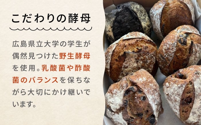 パン 詰め合わせ 菓子パン 国産 小麦 ハード系 冷凍 カンパーニュ トースト