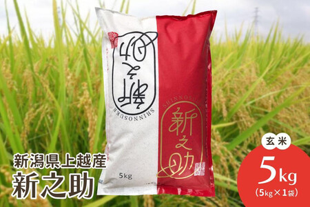 令和7年・新潟県上越産|新潟ブランド米「新之助」 玄米5kg