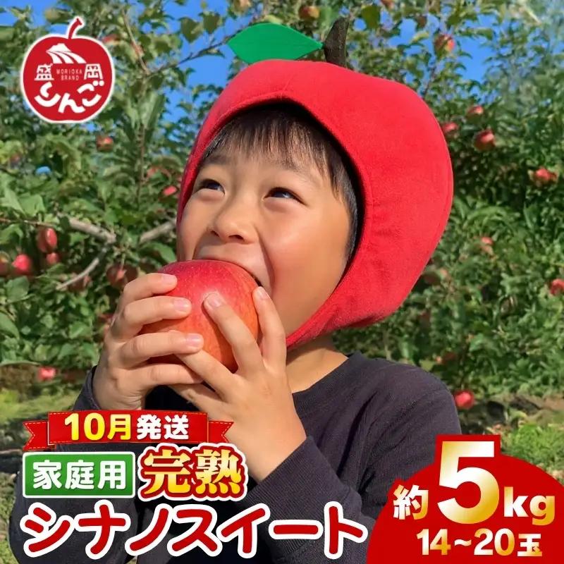 期間限定 訳あり シナノスイート 5kg(14~20玉)＜10月発送＞ りんご シナノスイート 田村ふぁーむtamura006