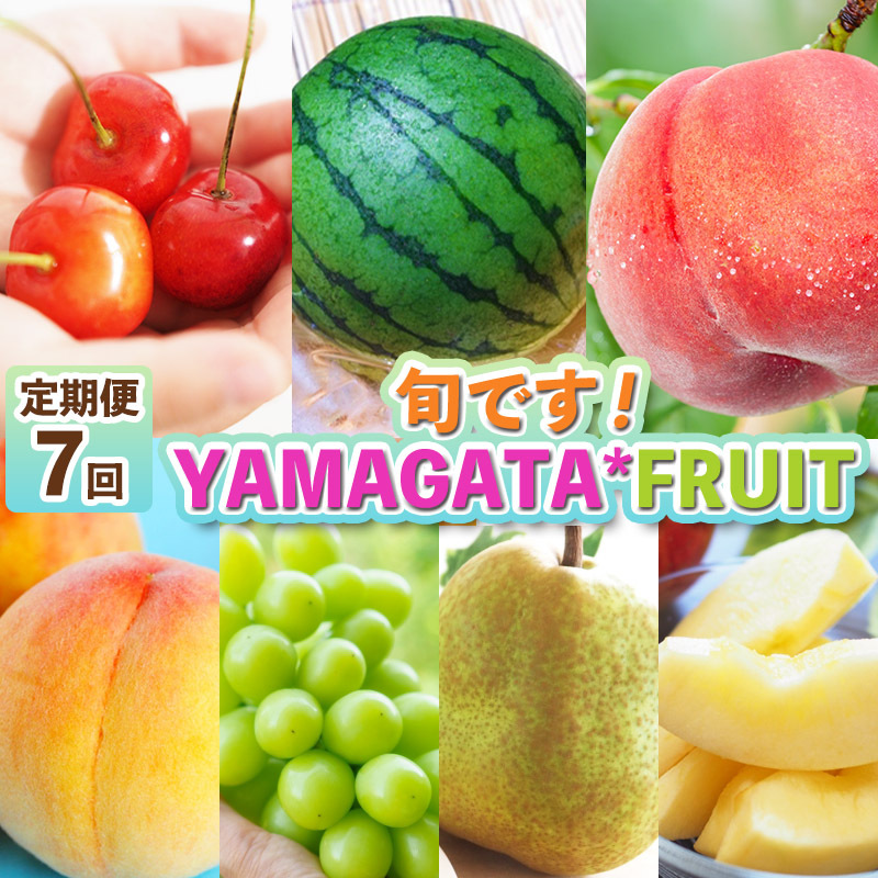 【定期便7回】旬です！YAMAGATA＊FRUIT FZ25-285