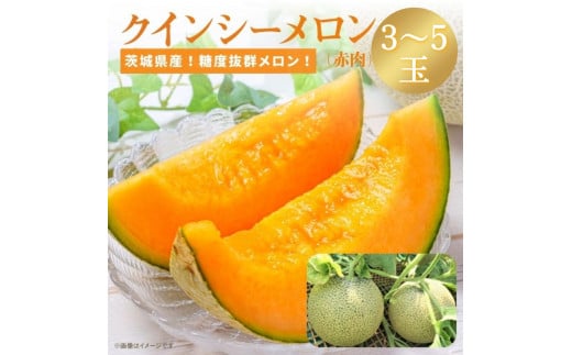 糖度抜群！奇跡のクインシーメロン（赤肉）3~5玉入り