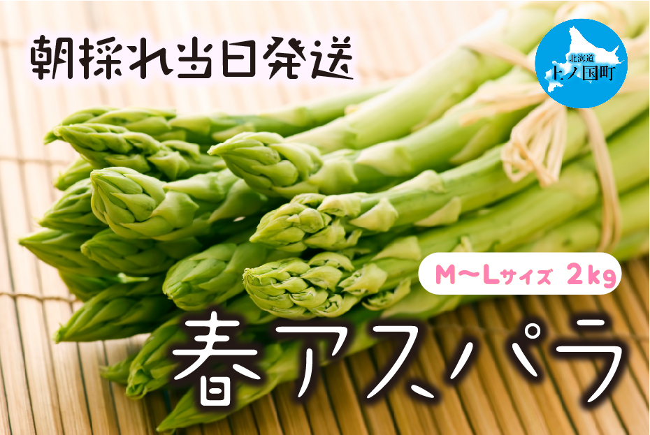 【2026年春発送】北海道上ノ国町産 わかさ農園の春アスパラ　M～L（2㎏）北海道産　朝採れ　農家町送　グリーンアスパラ　春野菜　アスパラ　甘い　特産品