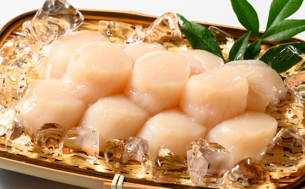 北海道 噴火湾産 ホタテ 玉冷 500g | ほたて ホタテ hotate 帆立 貝 貝柱 魚介 刺身 海鮮 北海道産 魚介類 刺身 バター焼き 人気